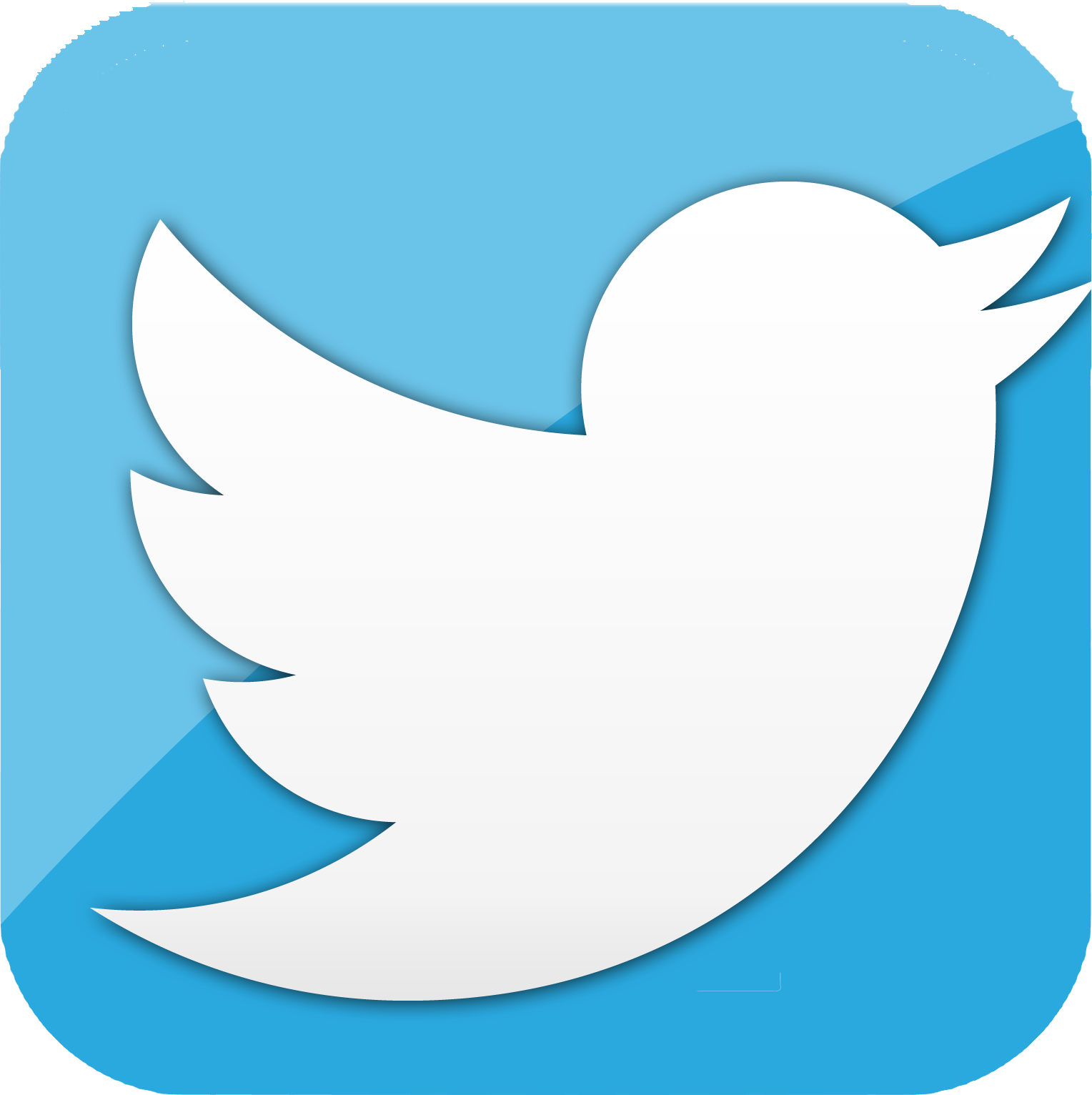 twitter logo